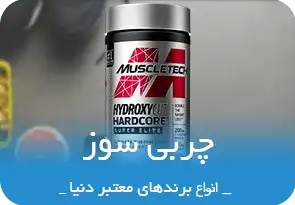 دسته بندی انواع چربی سوز